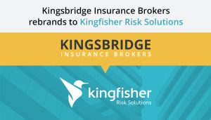B3 Insurance Kingfisher Insurance - B3 Insurance