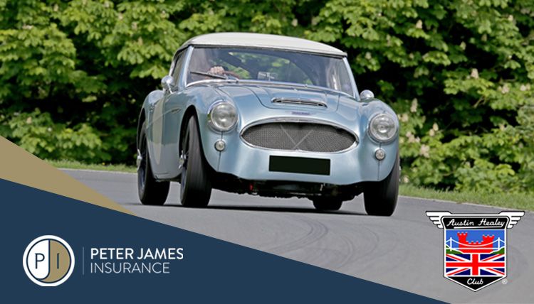 Austin Healey Club